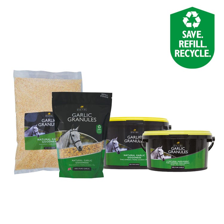 Lincoln Garlic Granules image 1